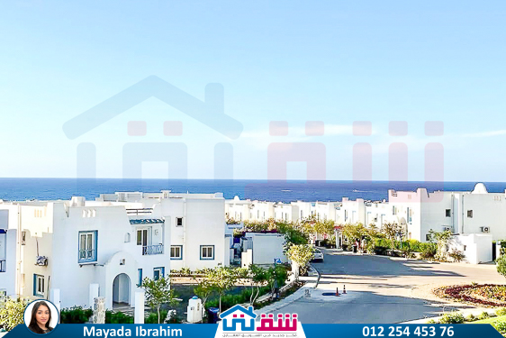 WhatsApp Image 2025-04-30 at 2.41.48 PM (1)