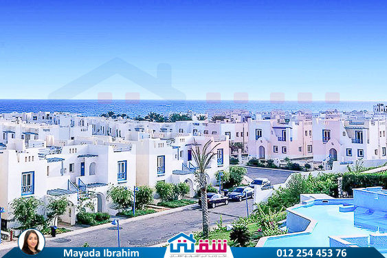 WhatsApp Image 2025-04-30 at 2.41.48 PM (2)