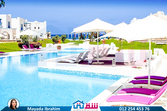 WhatsApp Image 2025-04-30 at 2.41.48 PM