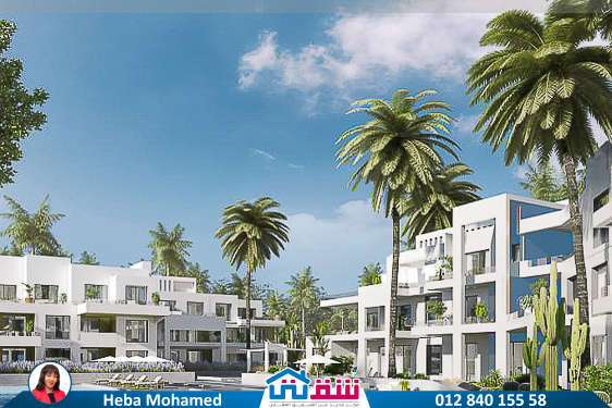 WhatsApp Image 2025-05-03 at 5.08.08 PM (2)