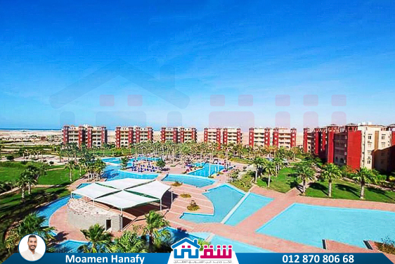 WhatsApp Image 2025-05-07 at 3.58.43 PM