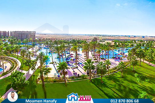 WhatsApp Image 2025-05-07 at 4.00.04 PM