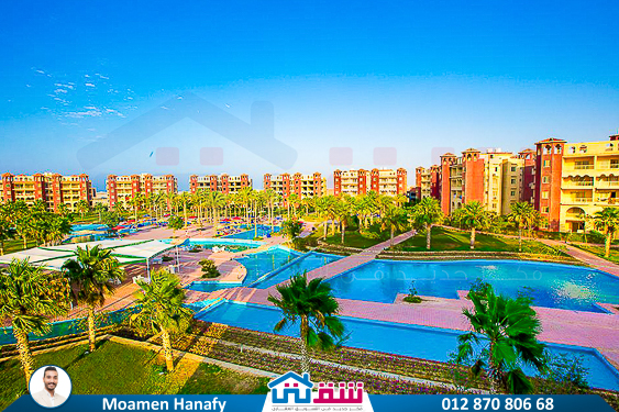 WhatsApp Image 2025-05-07 at 4.00.37 PM