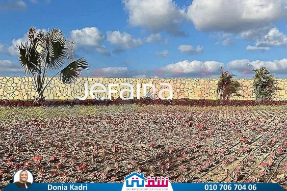 WhatsApp Image 2025-05-08 at 4.46.33 PM