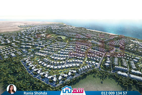 WhatsApp Image 2025-05-08 at 4.46.35 PM (2)