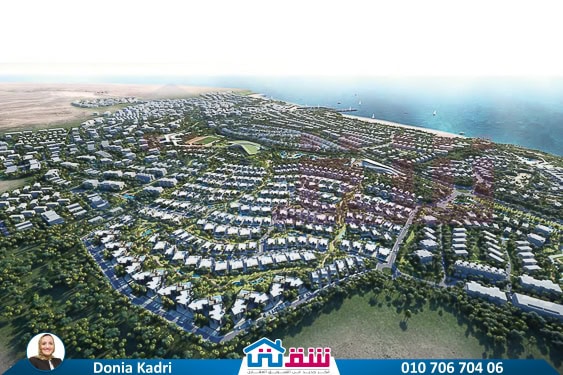 WhatsApp Image 2025-05-08 at 4.46.35 PM (2)