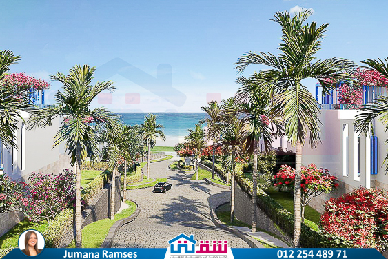 WhatsApp Image 2025-05-12 at 1.18.18 PM