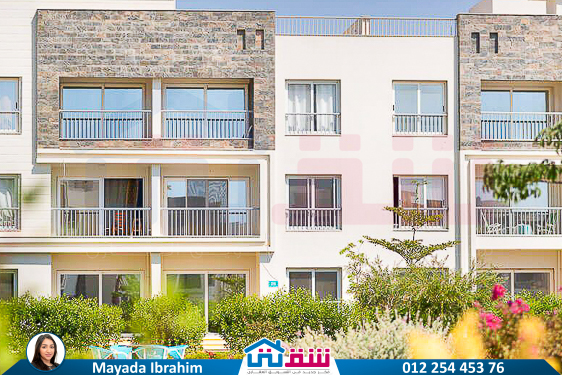 WhatsApp Image 2025-05-14 at 2.21.02 PM