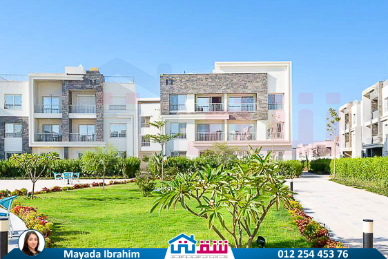 WhatsApp Image 2025-05-14 at 2.21.11 PM (4)