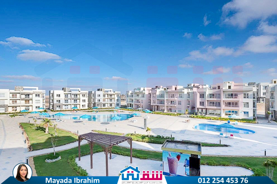 WhatsApp Image 2025-05-14 at 2.21.13 PM