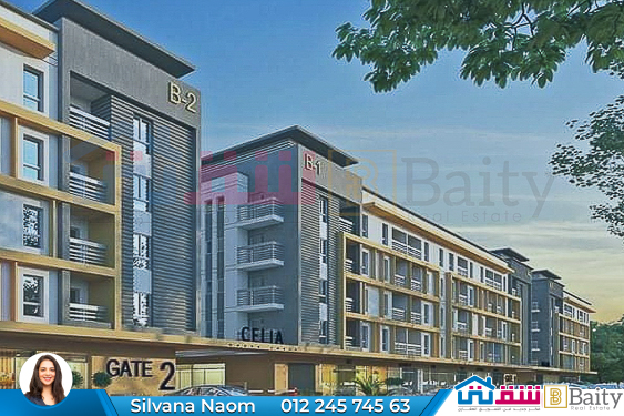 WhatsApp Image 2025-05-14 at 4.38.52 PM (1)