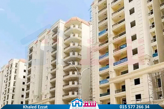 WhatsApp Image 2025-05-17 at 4.33.37 PM (2)