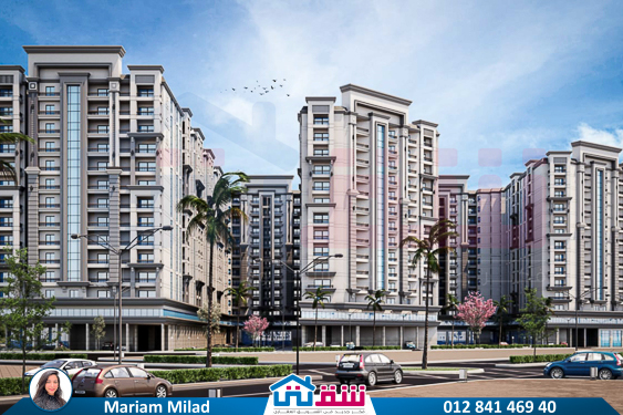 WhatsApp Image 2025-05-26 at 11.17.49 AM