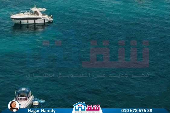 IMG-20250423-WA0008-2