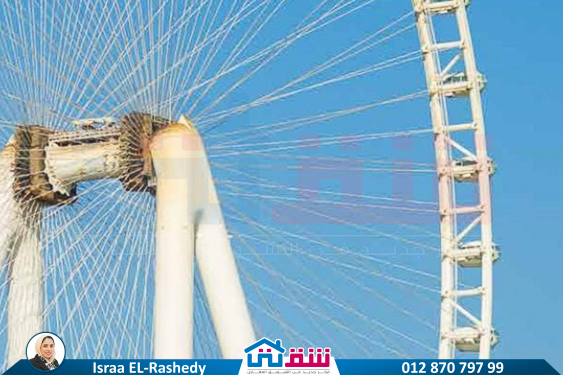 IMG-20250622-WA0005-2