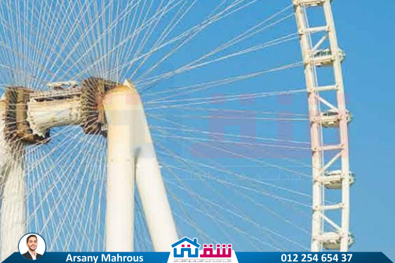 IMG-20250622-WA0005-2