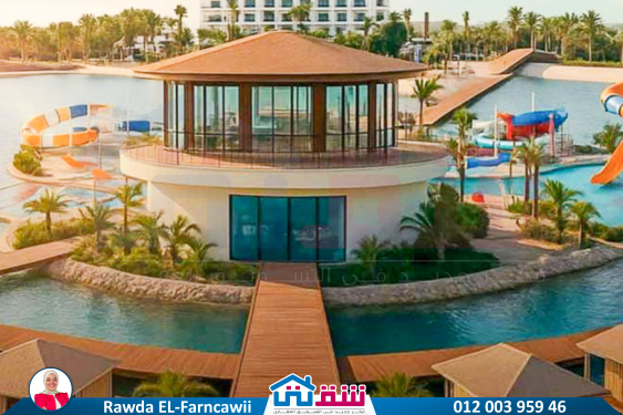 IMG-20250622-WA0008-3