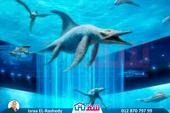 IMG-20250622-WA0013-2