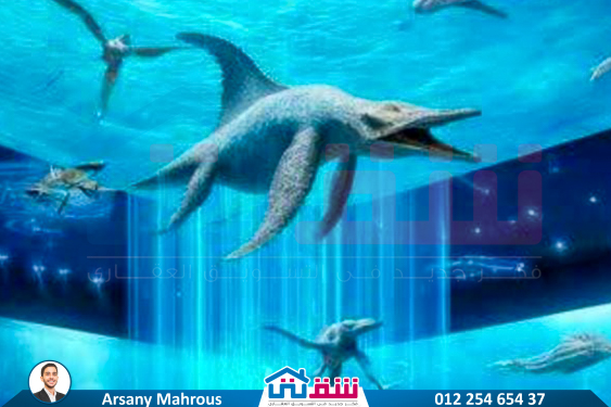 IMG-20250622-WA0013-2