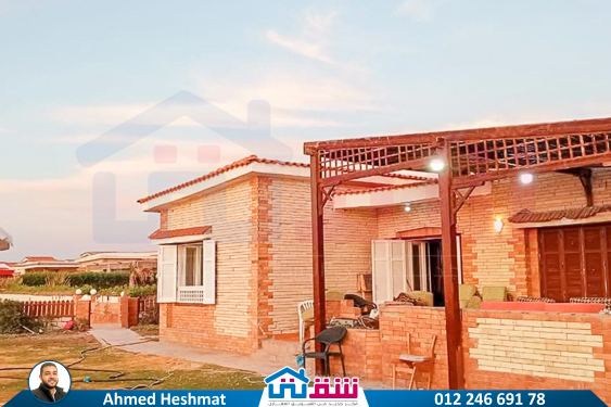 IMG-20250624-WA0051-2