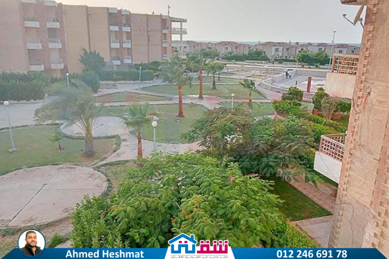 IMG-20250624-WA0052-2