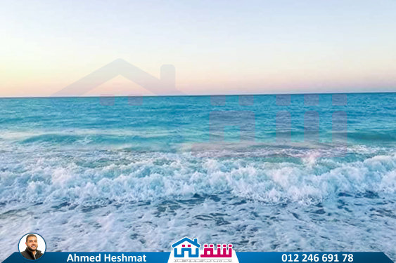 IMG-20250624-WA0053-2