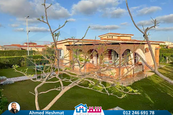 IMG-20250624-WA0061-2