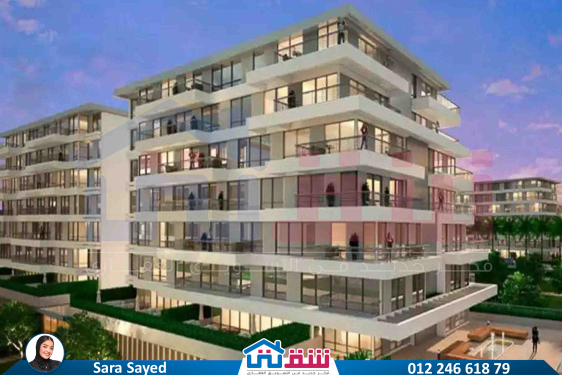 WhatsApp Image 2024-08-28 at 4.29.03 PM (1)