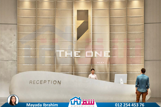 WhatsApp Image 2024-10-26 at 2.47.35 AM