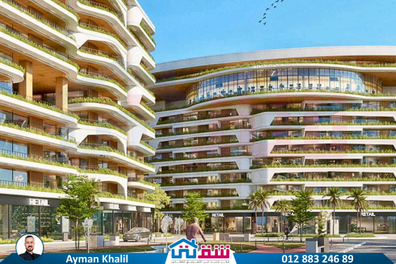 WhatsApp Image 2024-10-26 at 2.47.37 AM