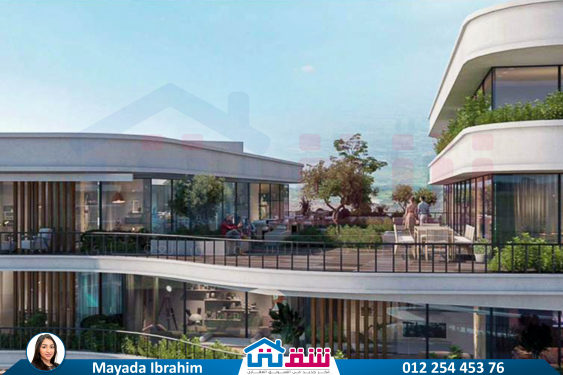 WhatsApp Image 2024-11-20 at 8.29.35 PM (1)