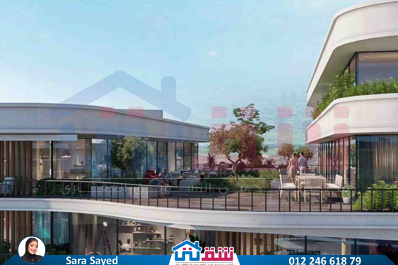 WhatsApp Image 2024-11-20 at 8.29.35 PM (1)