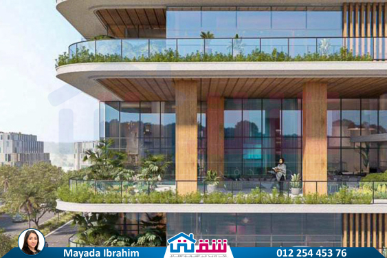 WhatsApp Image 2024-11-20 at 8.29.36 PM (1)