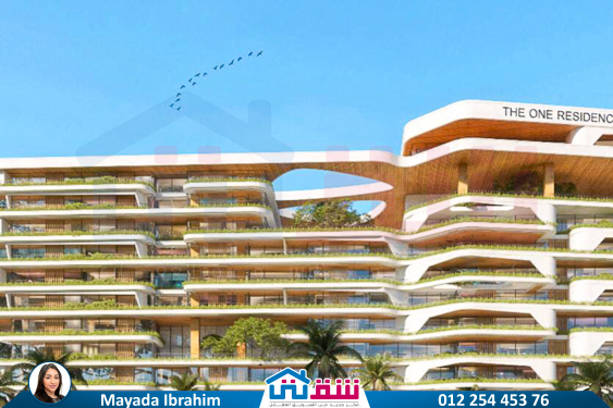 WhatsApp Image 2024-11-20 at 8.29.36 PM (2)