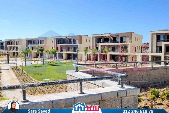 WhatsApp Image 2024-11-27 at 1.14.02 PM (1)