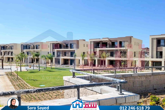 WhatsApp Image 2024-11-27 at 1.14.02 PM (1)