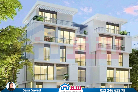 WhatsApp Image 2024-12-06 at 3.41.31 AM (1)