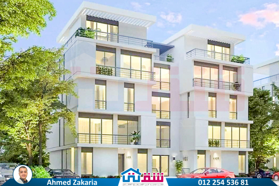 WhatsApp Image 2024-12-06 at 3.41.31 AM (1)