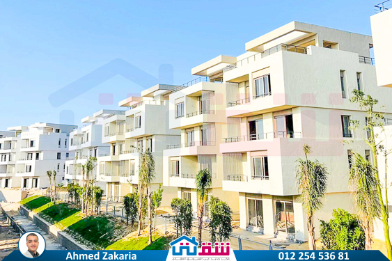 WhatsApp Image 2024-12-06 at 3.47.21 AM (1)