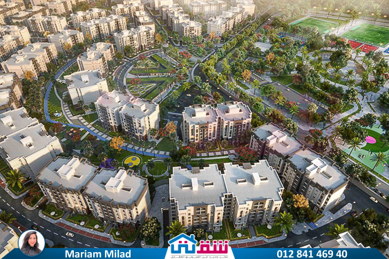 WhatsApp Image 2025-02-16 at 12.56.07 PM