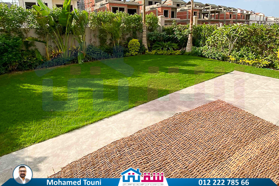 WhatsApp Image 2025-02-16 at 9.27.34 PM (1)