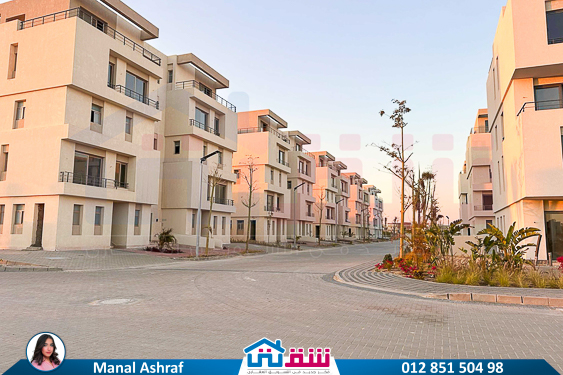 WhatsApp Image 2025-03-10 at 2.34.15 PM