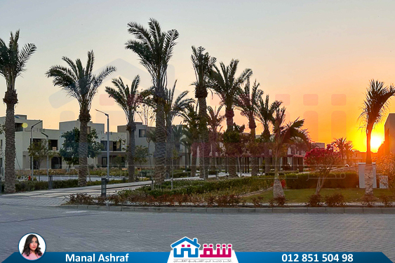 WhatsApp Image 2025-03-10 at 2.34.16 PM