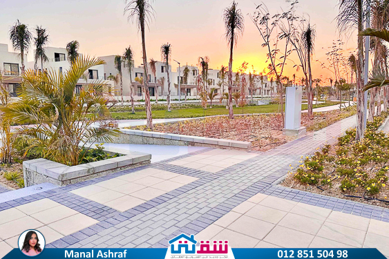 WhatsApp Image 2025-03-10 at 2.34.17 PM (1)