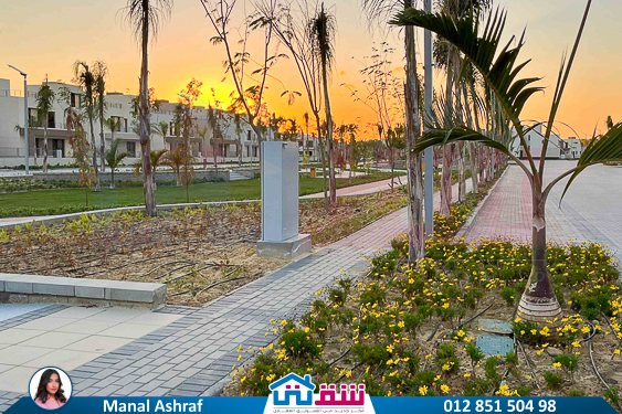 WhatsApp Image 2025-03-10 at 2.34.18 PM (1)