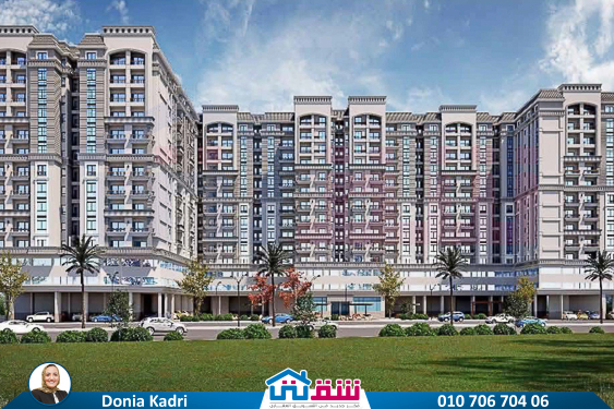 WhatsApp Image 2025-03-11 at 12.24.06 PM