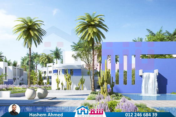 WhatsApp Image 2025-05-03 at 5.08.08 PM (3)