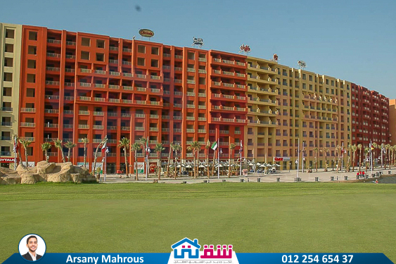 WhatsApp Image 2025-05-06 at 12.31.21 PM