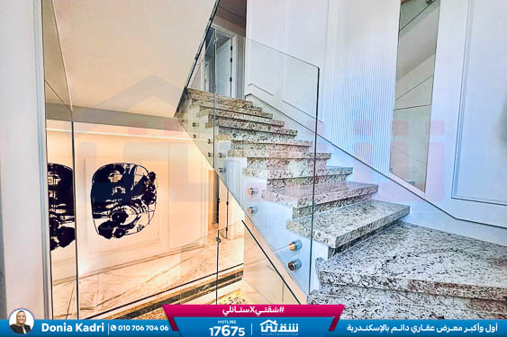 WhatsApp Image 2025-05-10 at 2.46.57 AM (2)