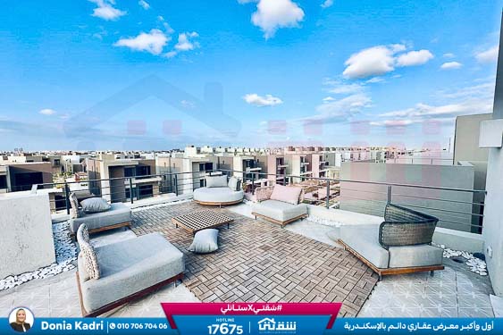 WhatsApp Image 2025-05-10 at 2.46.57 AM